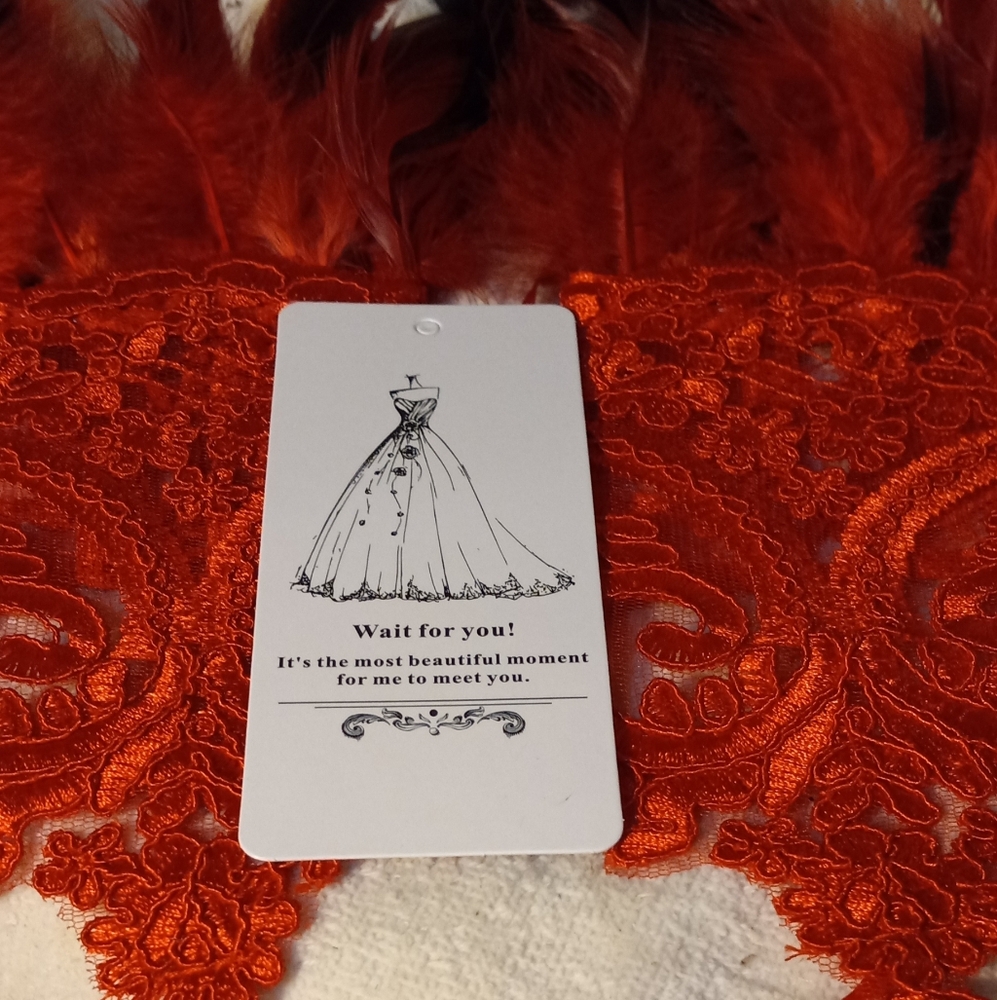 New,elegant red&black feathers red embroidered fingerless gloves for dress-up. - Picture 4 of 4